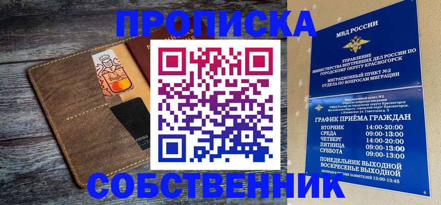 временная регистрация надежно в Кингисеппе